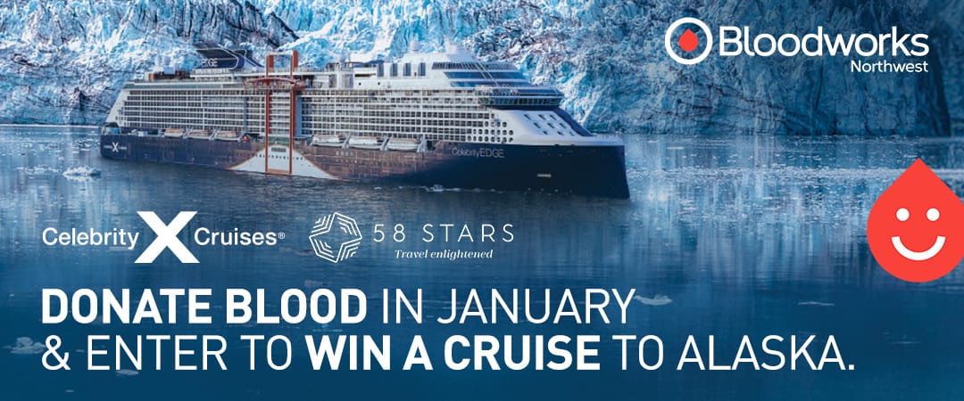 Cruise Ship in the Ocean with Snow in the Background