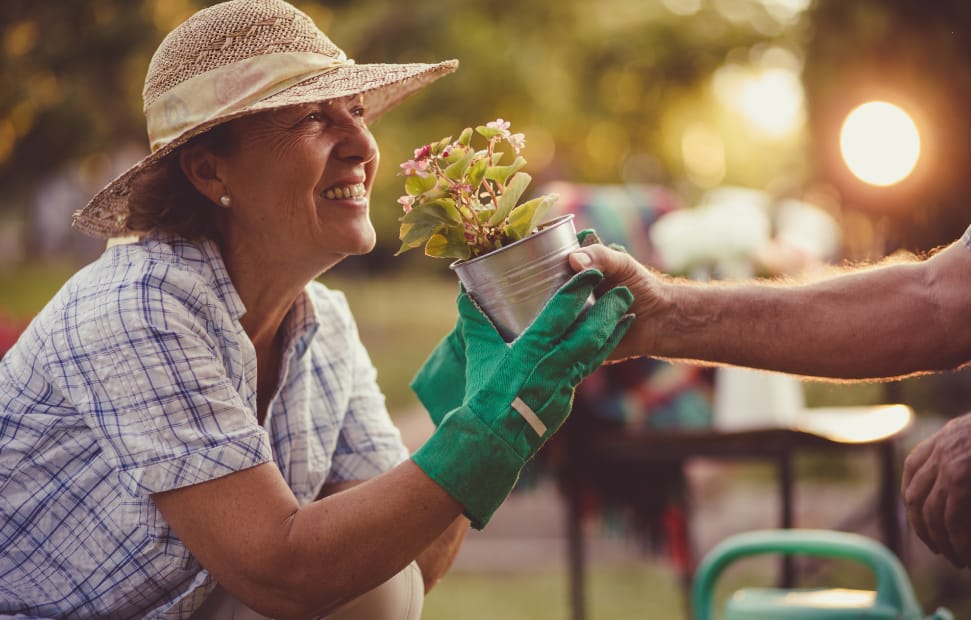 gardener_desktop woman holding pot of flowers
