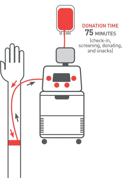 superreds_process superreds_process