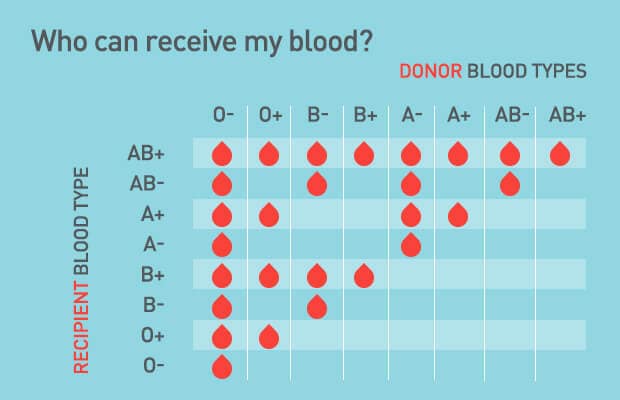 whocanreceiveblood_chart_allbloodtypes whocanreceiveblood_chart_allbloodtypes